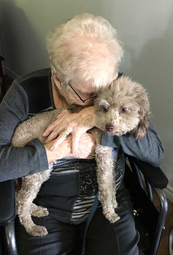 ainées avec un chien zoothérapie